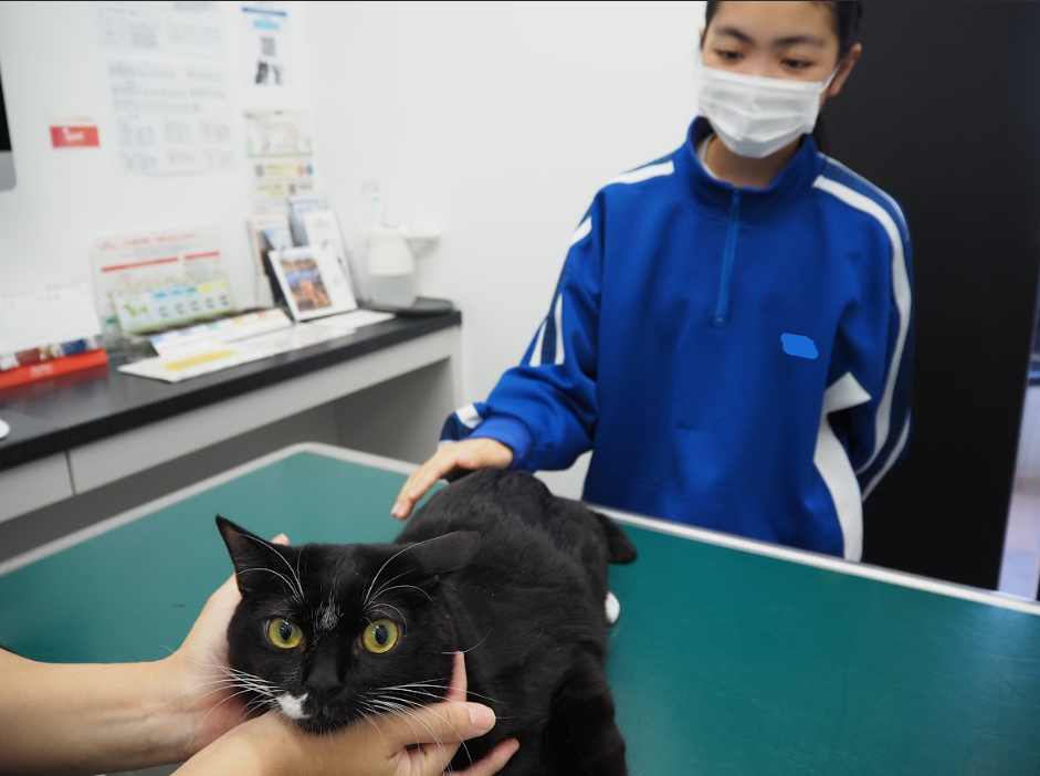 Screenshot 2025-11-28 13.40.04