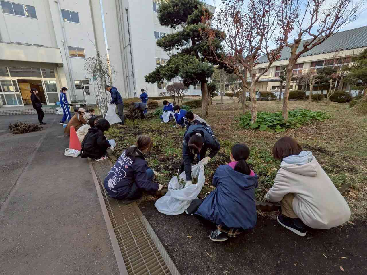 5ff9f3185cfc7f4535bef01e3f04674d